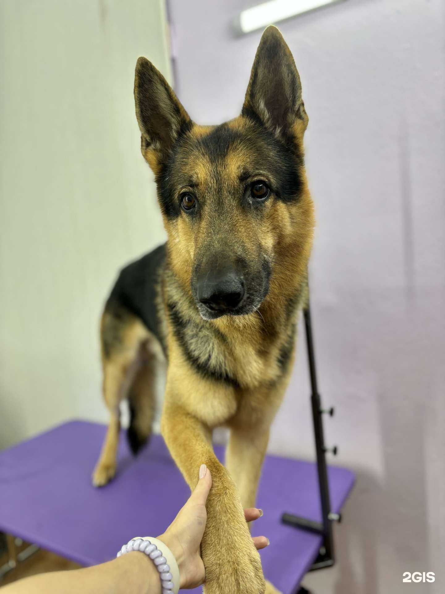 Отзывы на компанию Сделано с любовью в г. Магнитогорск c фото