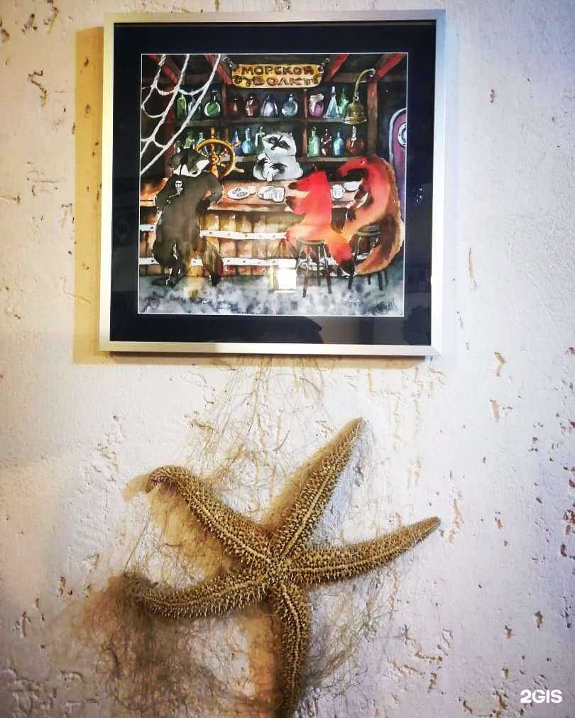 Отзывы на компанию Морской волк в Новосибирске c фото