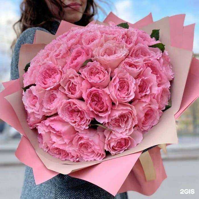 Отзывы на компанию Сорока-белобока в г. Александров c фото