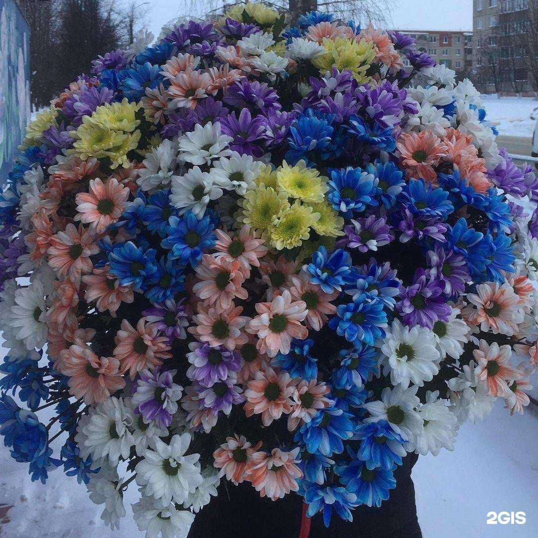 Отзывы на компанию Сара Бернар в Владимире c фото