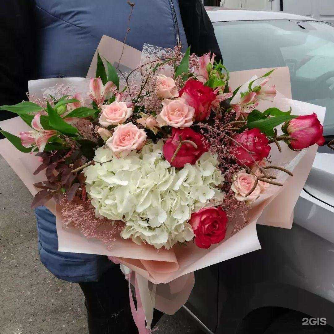 Отзывы на компанию Тропики в Георгиевске c фото