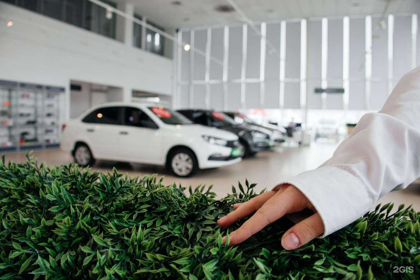 Отзывы на компанию ИЮЛЬ Лада в г. Краснодар c фото