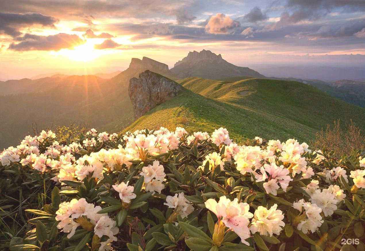 Отзывы на компанию Автокомфорт34 в Волгограде c фото