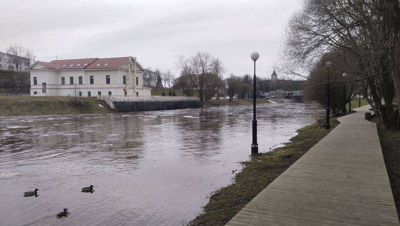 Отзывы на компанию Лёвенъ в Пскове c фото - фотография 2 из 2