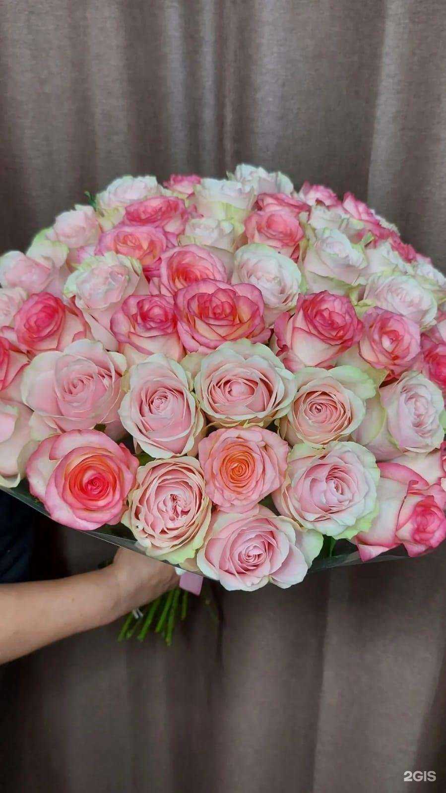 Отзывы на компанию Первоцвет в г. Барнаул c фото