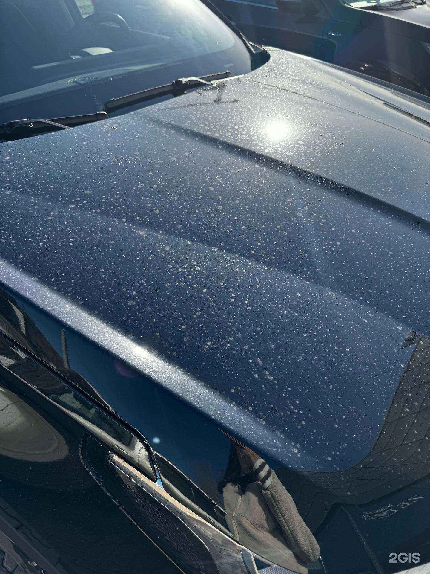 Отзывы на компанию Evolution в Красноярске c фото - фотография 2 из 2