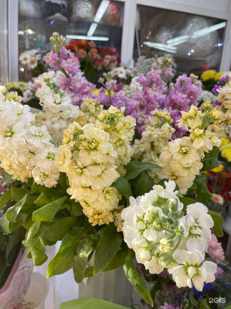 Отзывы на компанию Жасмина в Томске c фото