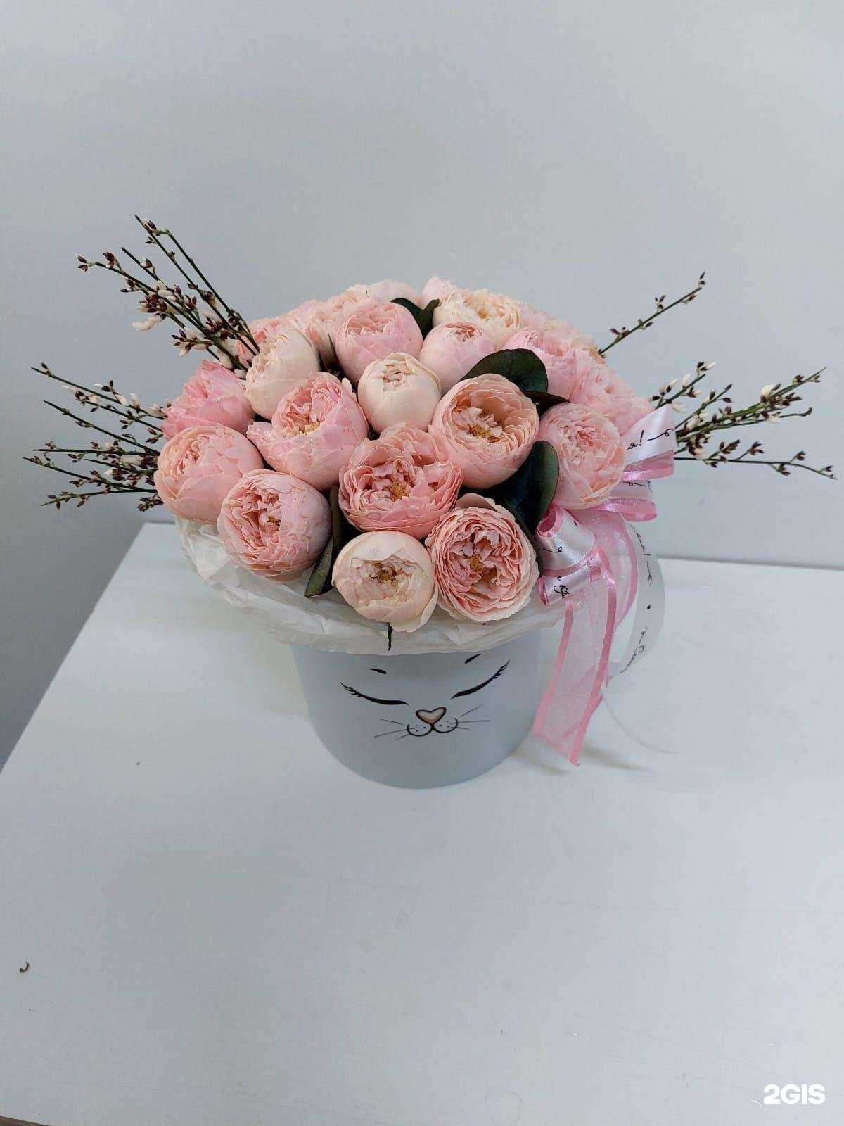 Отзывы на компанию Маттиола в Екатеринбурге c фото