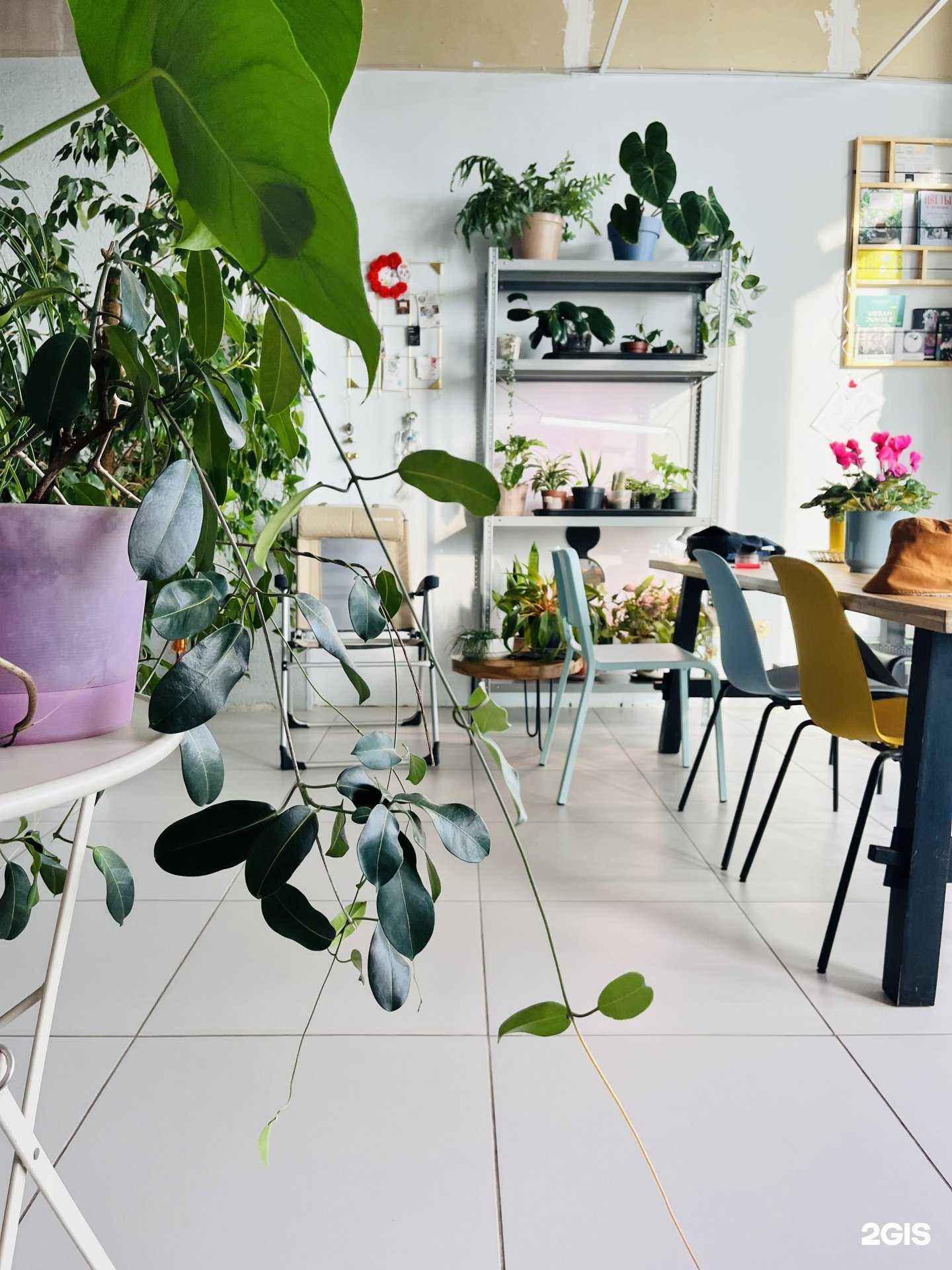 Отзывы на компанию Зеленый  в г. Уфа c фото