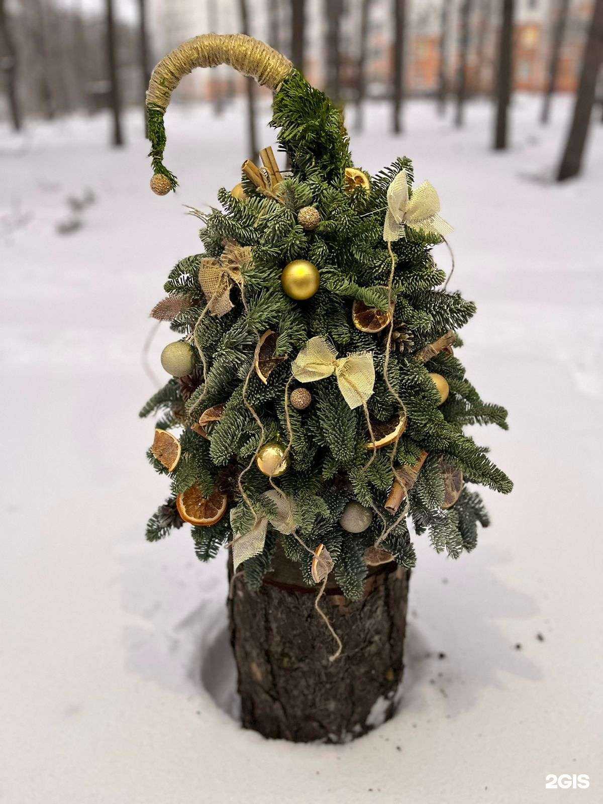Отзывы на компанию Дон Бутон в г. Воронеж c фото