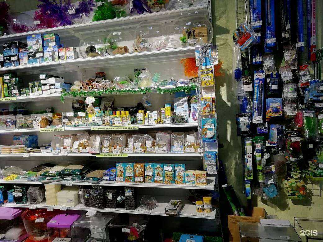 Отзывы на компанию Джунгли в Барнауле c фото