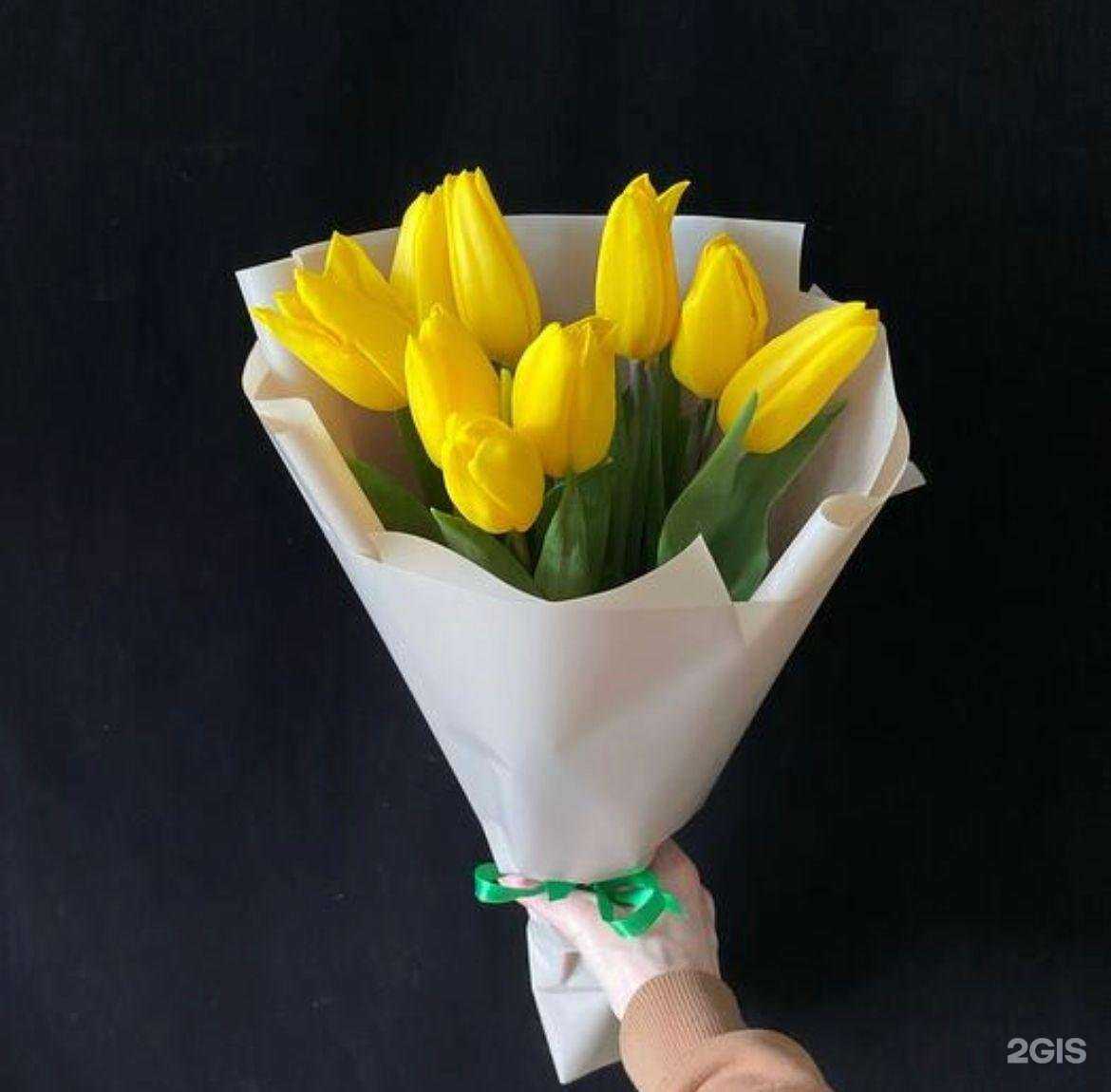 Отзывы на компанию Каталея в г. Сургут c фото