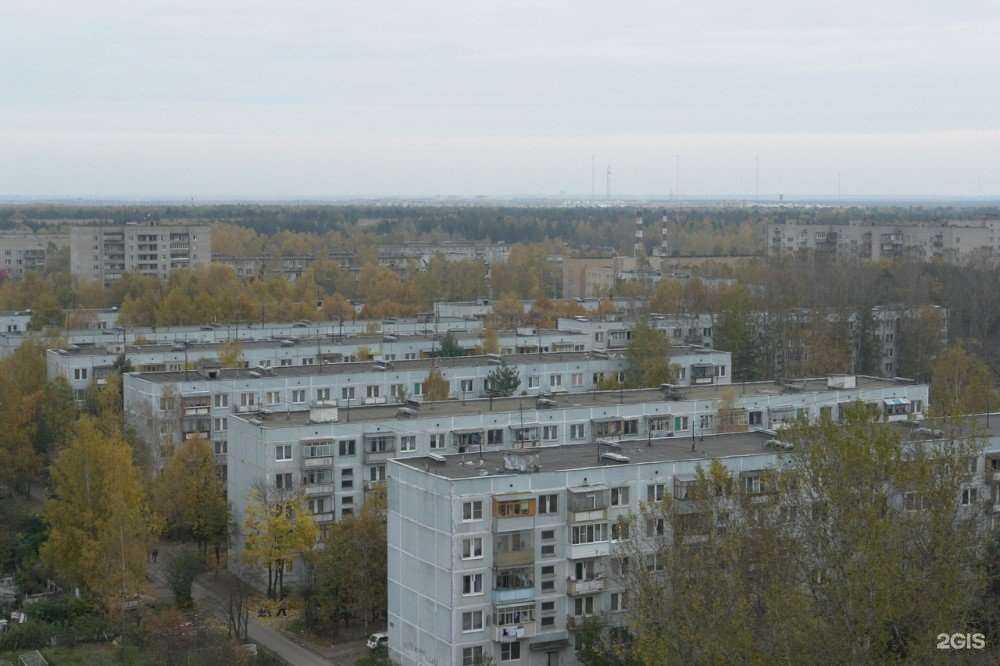 Отзывы на компанию Заря в Балашихе c фото - фотография 2 из 2