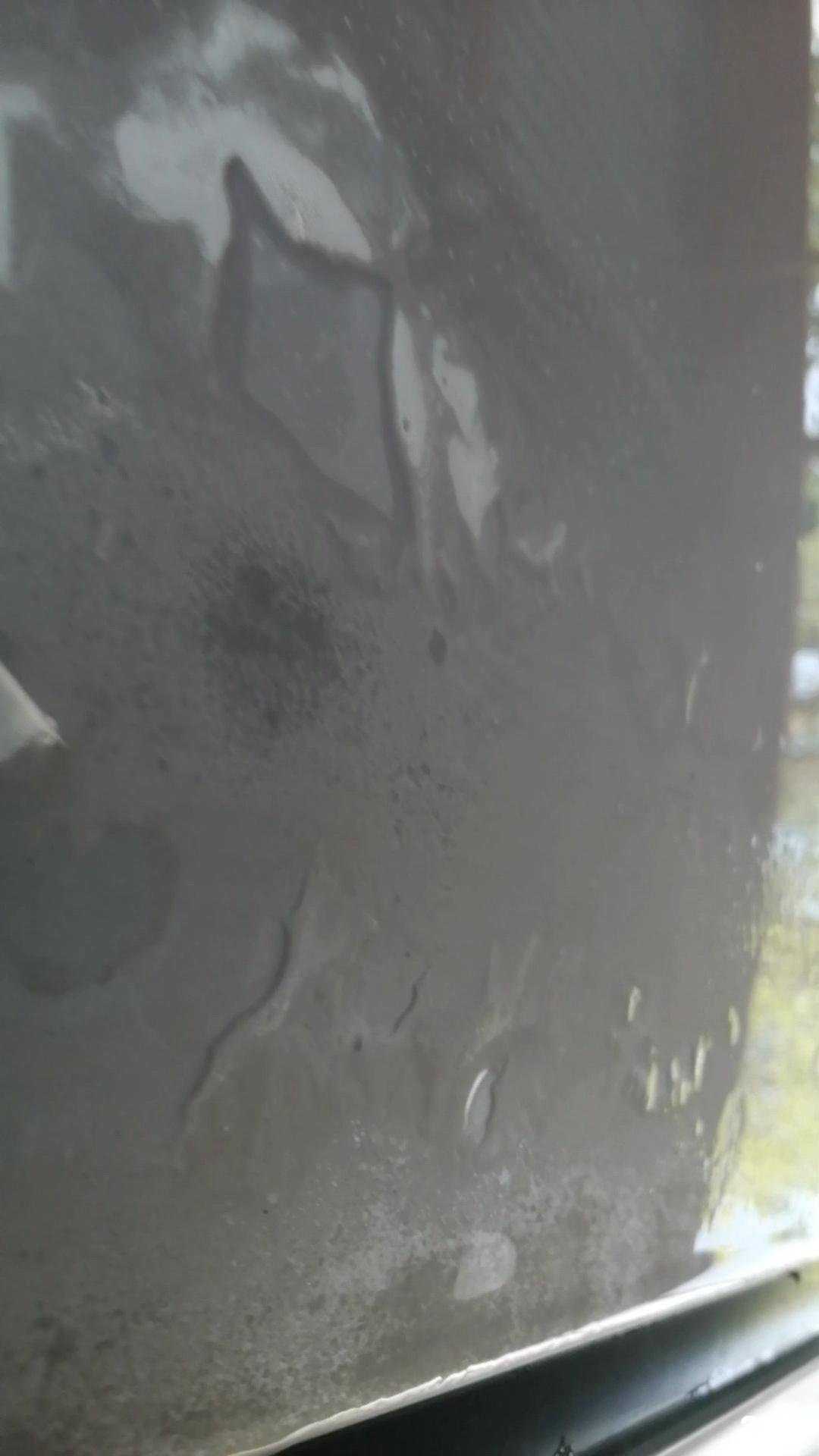 Отзывы на компанию Ehrle в Калининграде c фото