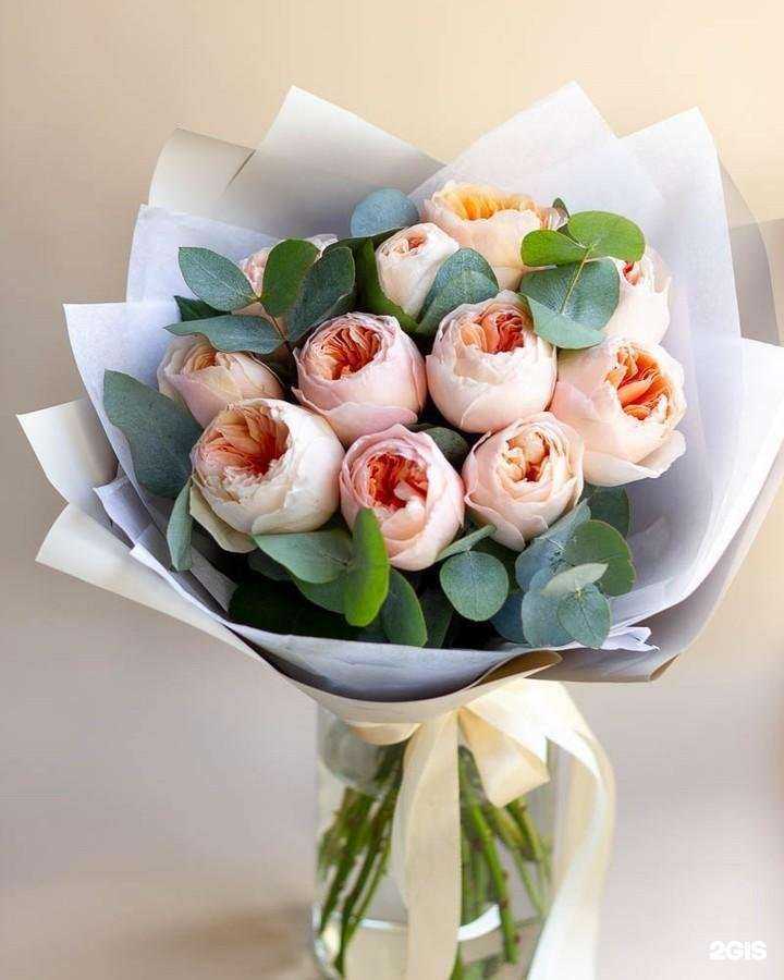 Отзывы на компанию Ботаника в Брянске c фото