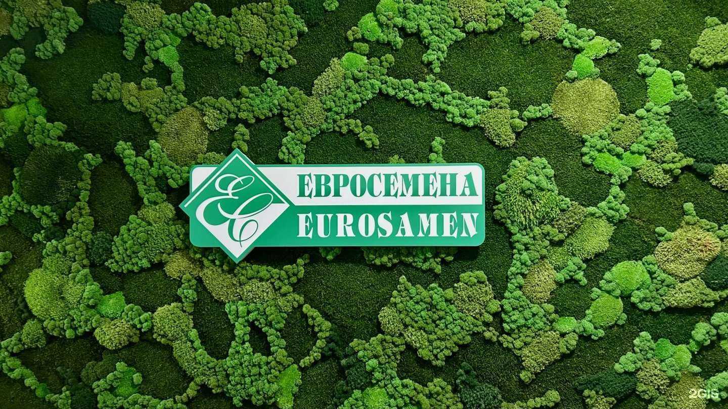 Отзывы на компанию Евросемена в Барнауле c фото