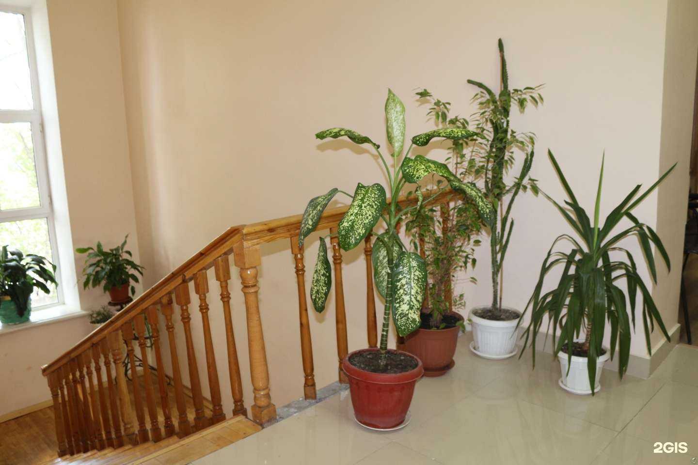 Отзывы на компанию Гериатрический центр в г. Махачкала c фото