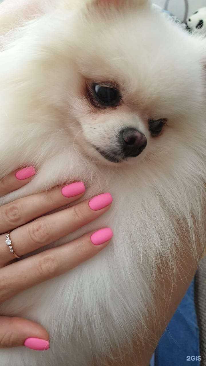 Отзывы на компанию Teluna в Сочи c фото