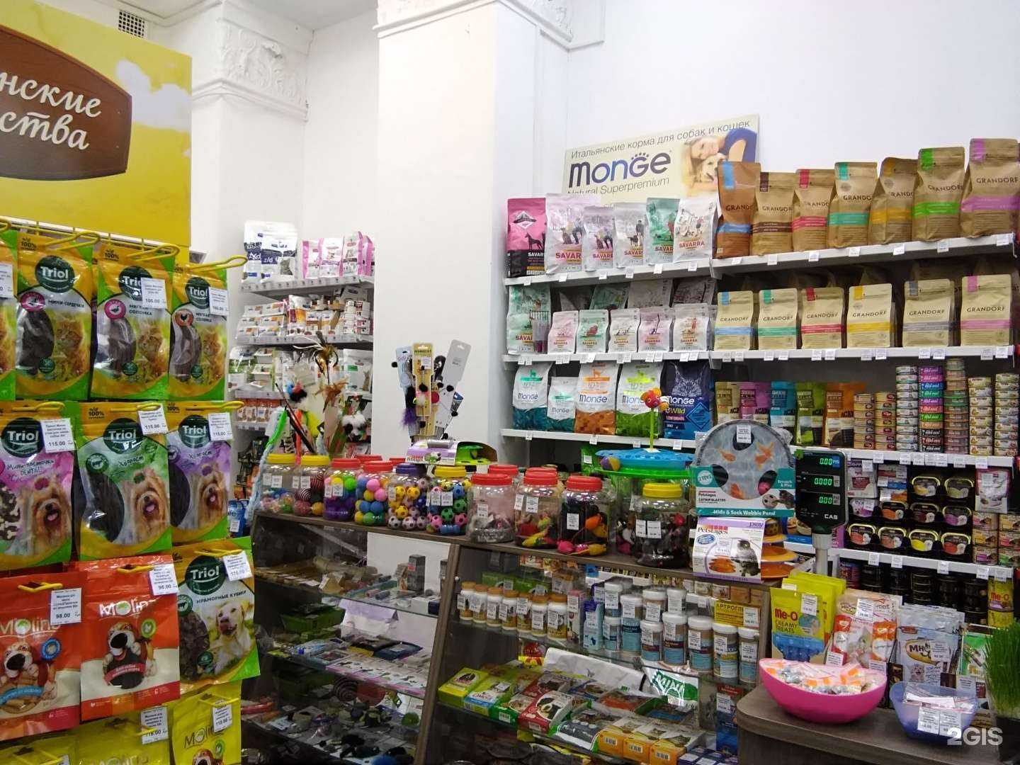 Отзывы на компанию Кот и Пёс в Иванове c фото