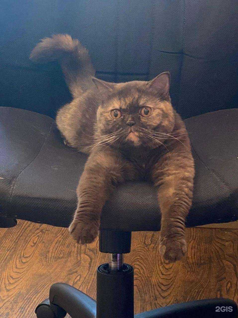 Отзывы на компанию Белый медведь в г. Тюмень c фото