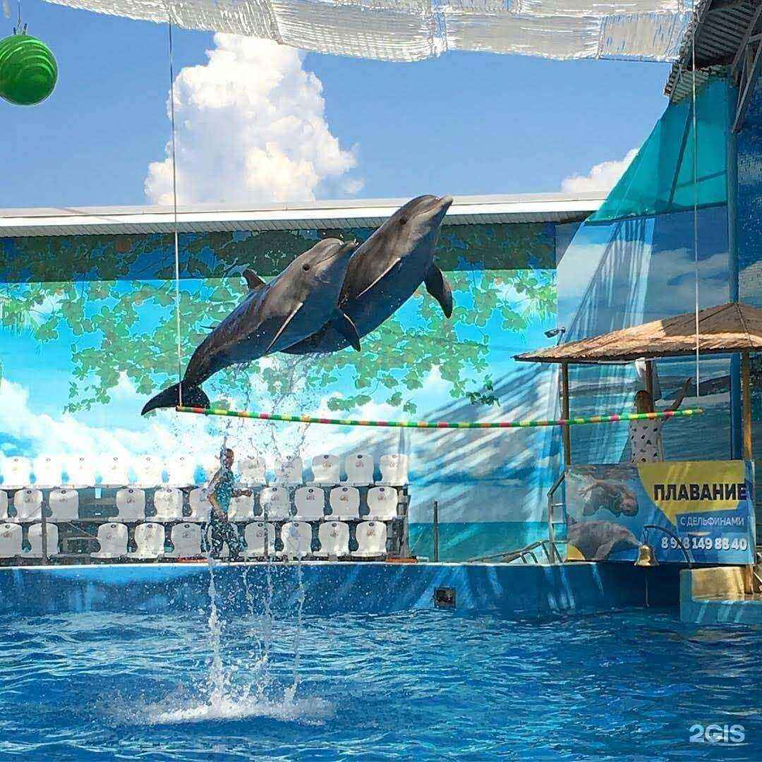 Отзывы на компанию Павлин в г. Владимир c фото