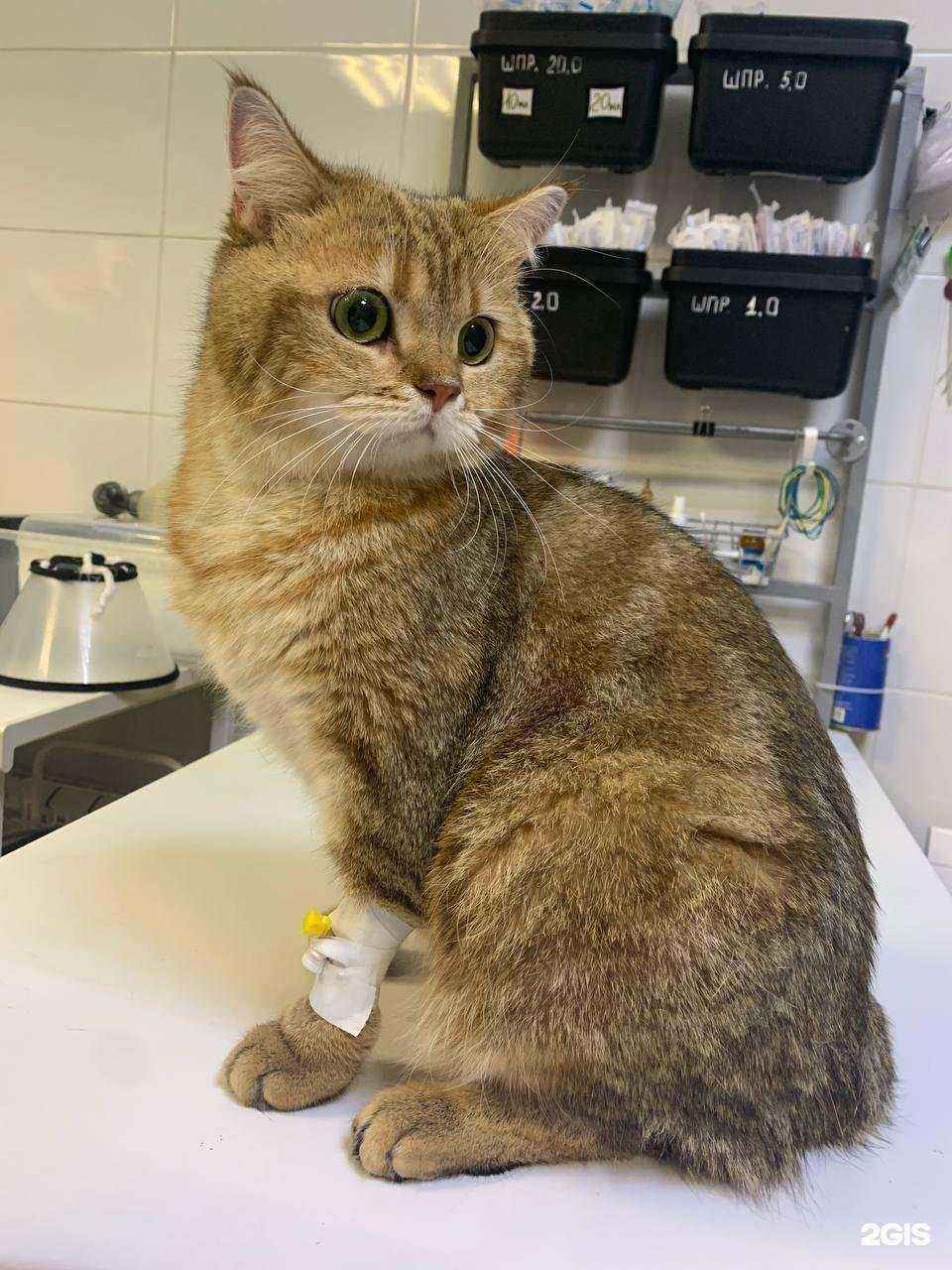 Отзывы на компанию Бося в г. Дзержинск c фото