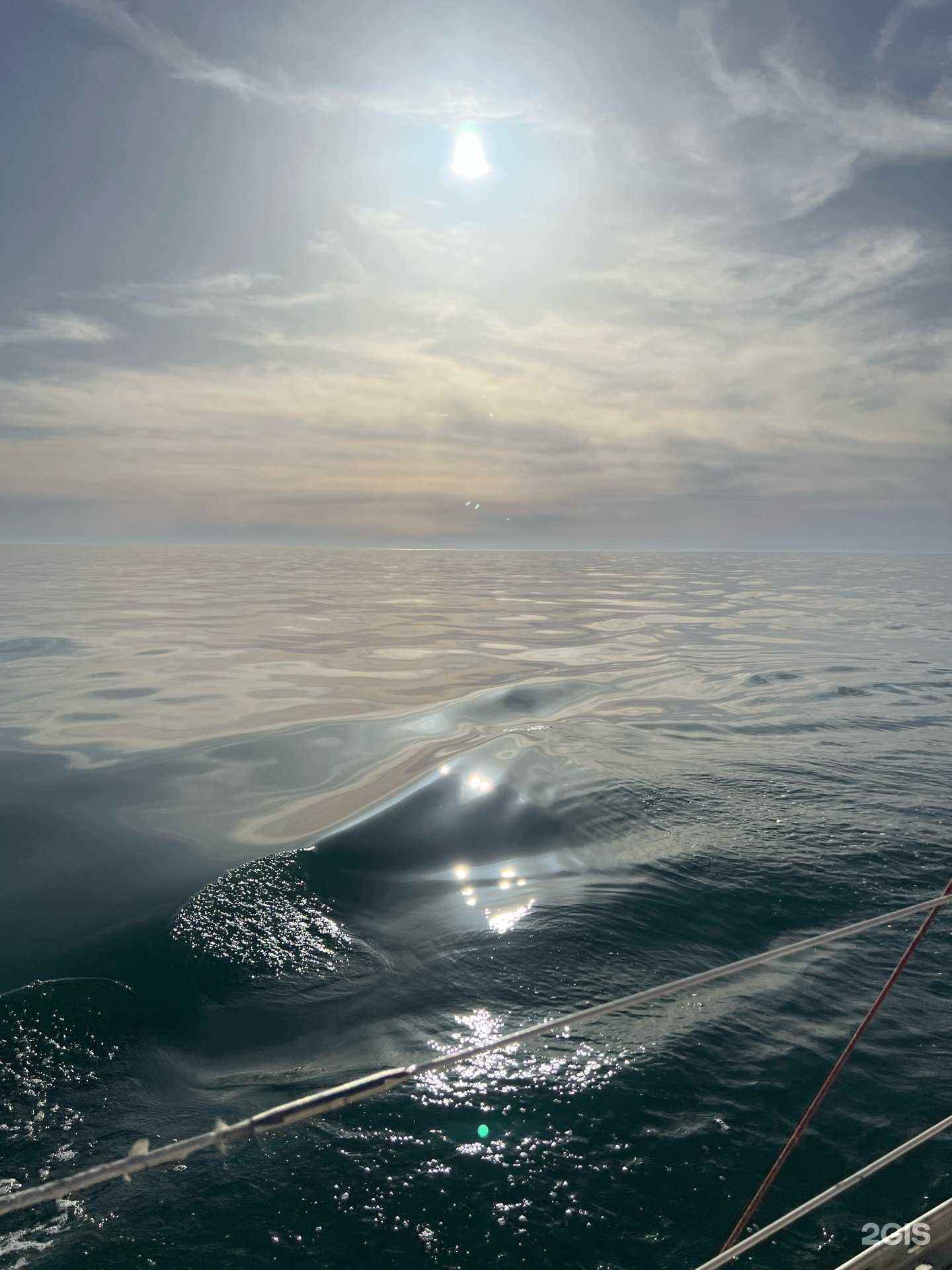 Отзывы на компанию Дали в Тюмени c фото