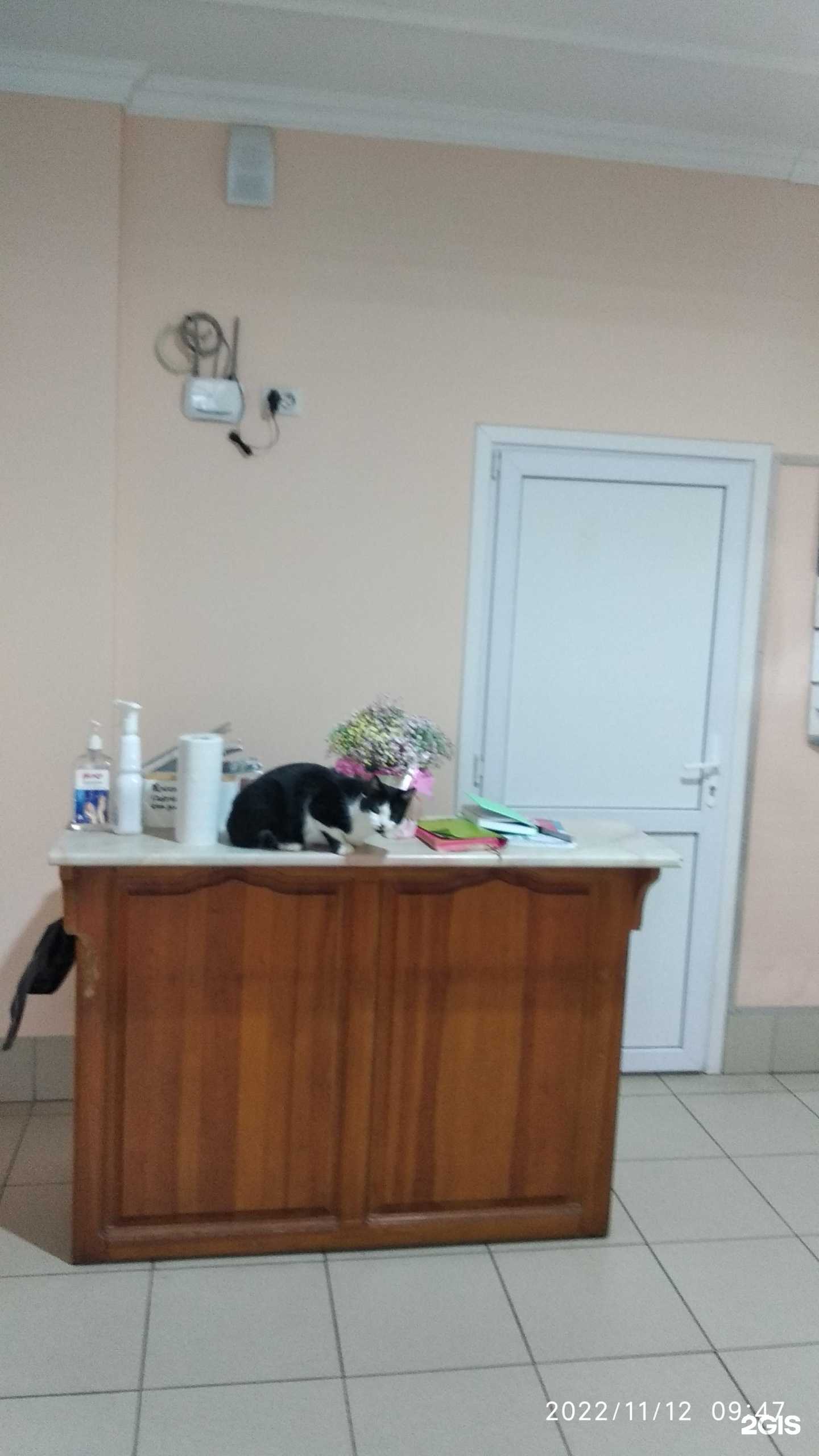 Отзывы на компанию Зоосфера в Таганроге c фото