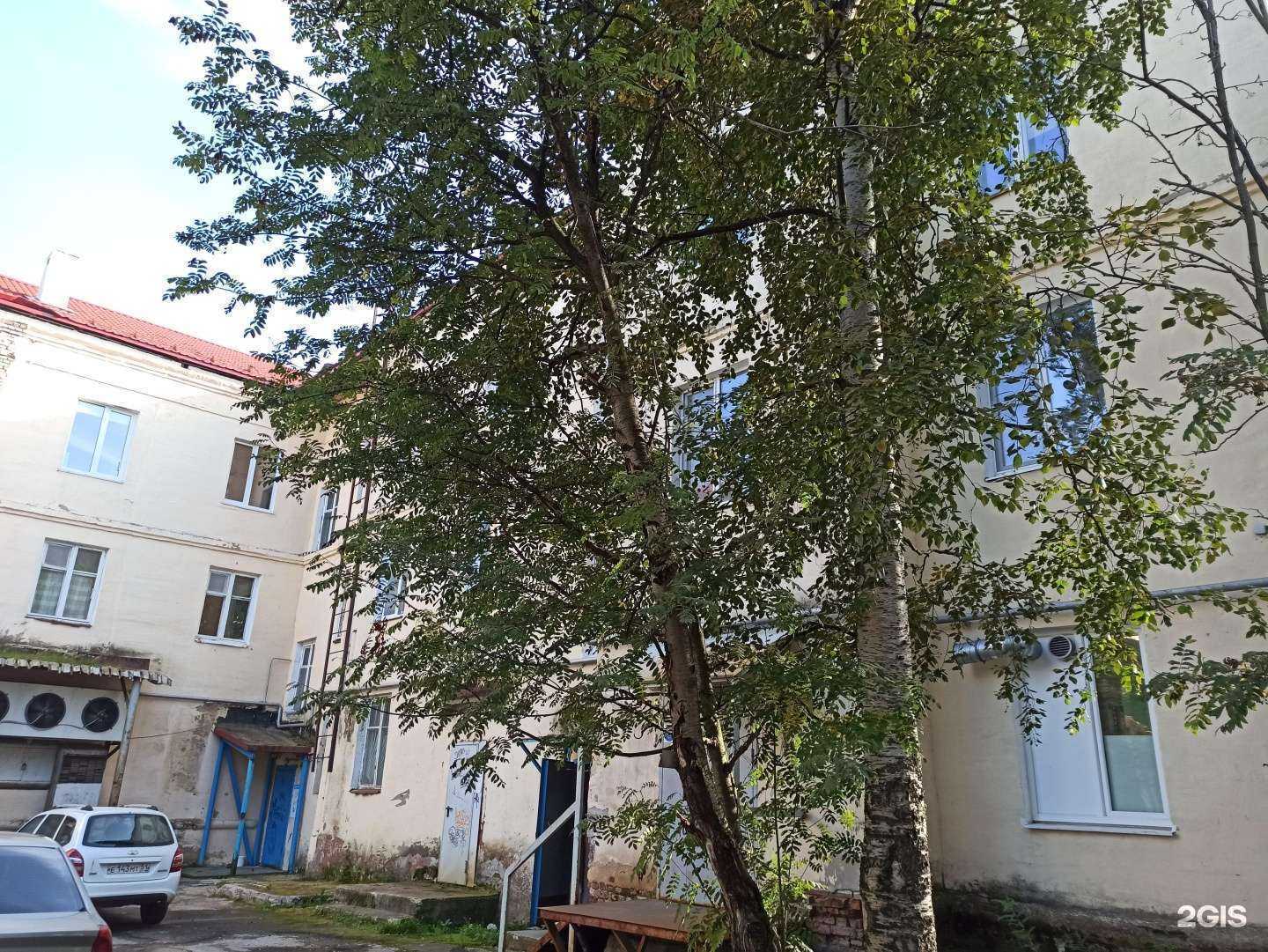 Отзывы на компанию Пчёлка в Апатитах c фото - фотография 2 из 2