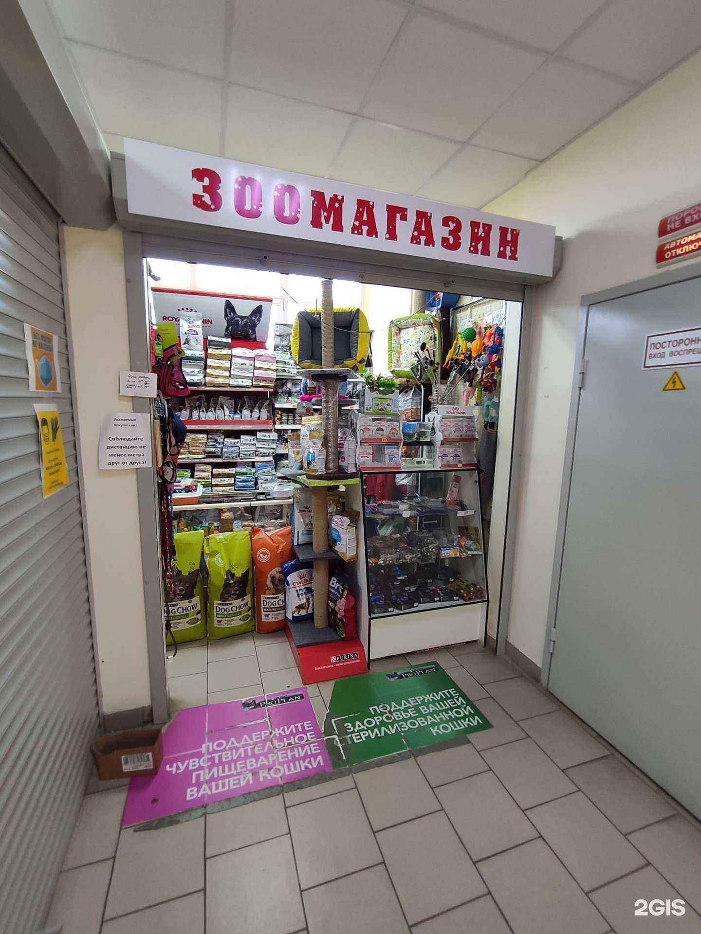 Отзывы на компанию Зоомагазин в г. Казань c фото