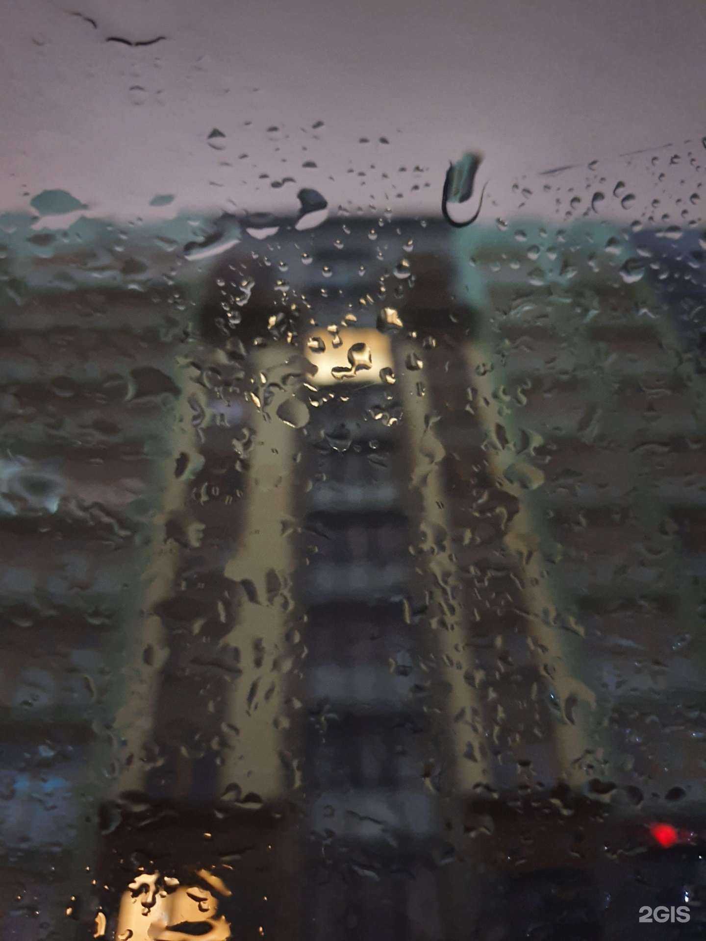 Отзывы на компанию Лига роботов в Калининграде c фото - фотография 2 из 2