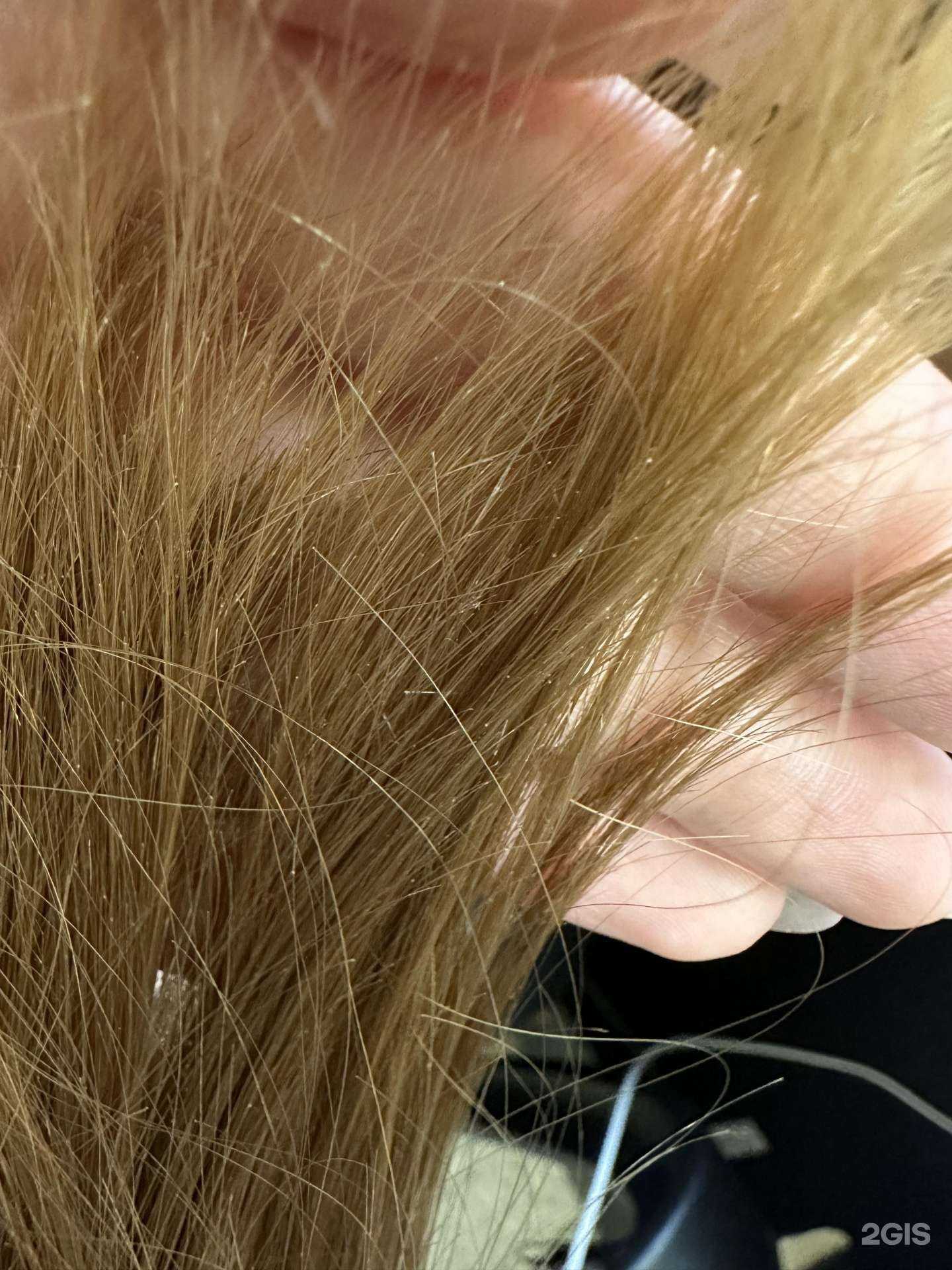 Отзывы на компанию Профи-стайл в Нижнем Новгороде c фото