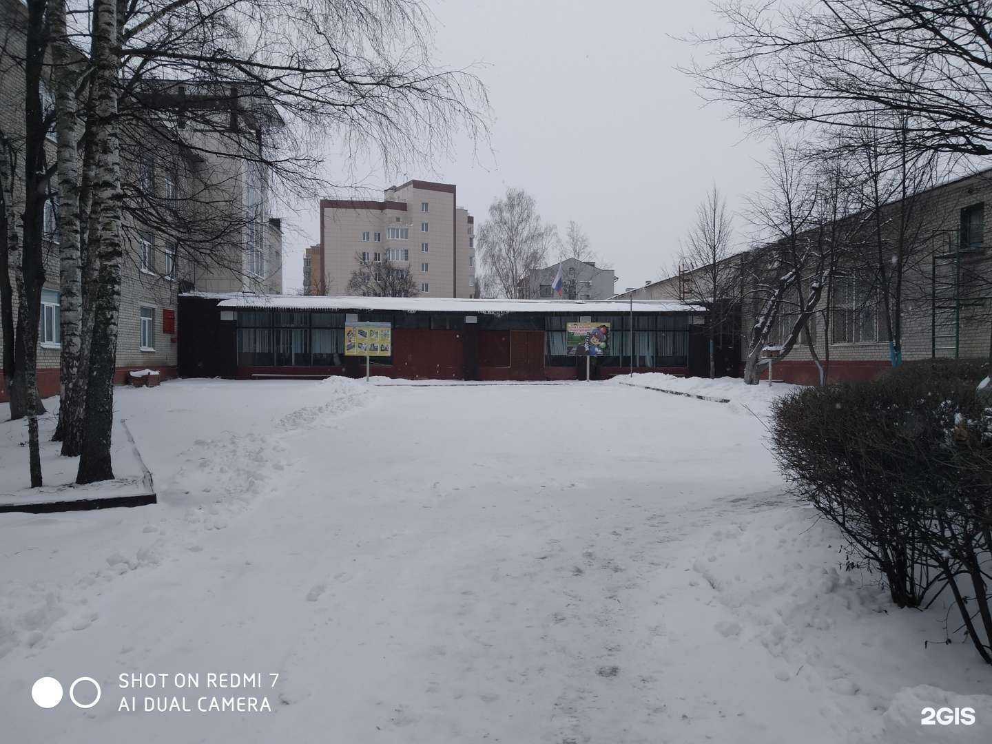 Отзывы на компанию Гимназия №44 в г. Курск c фото