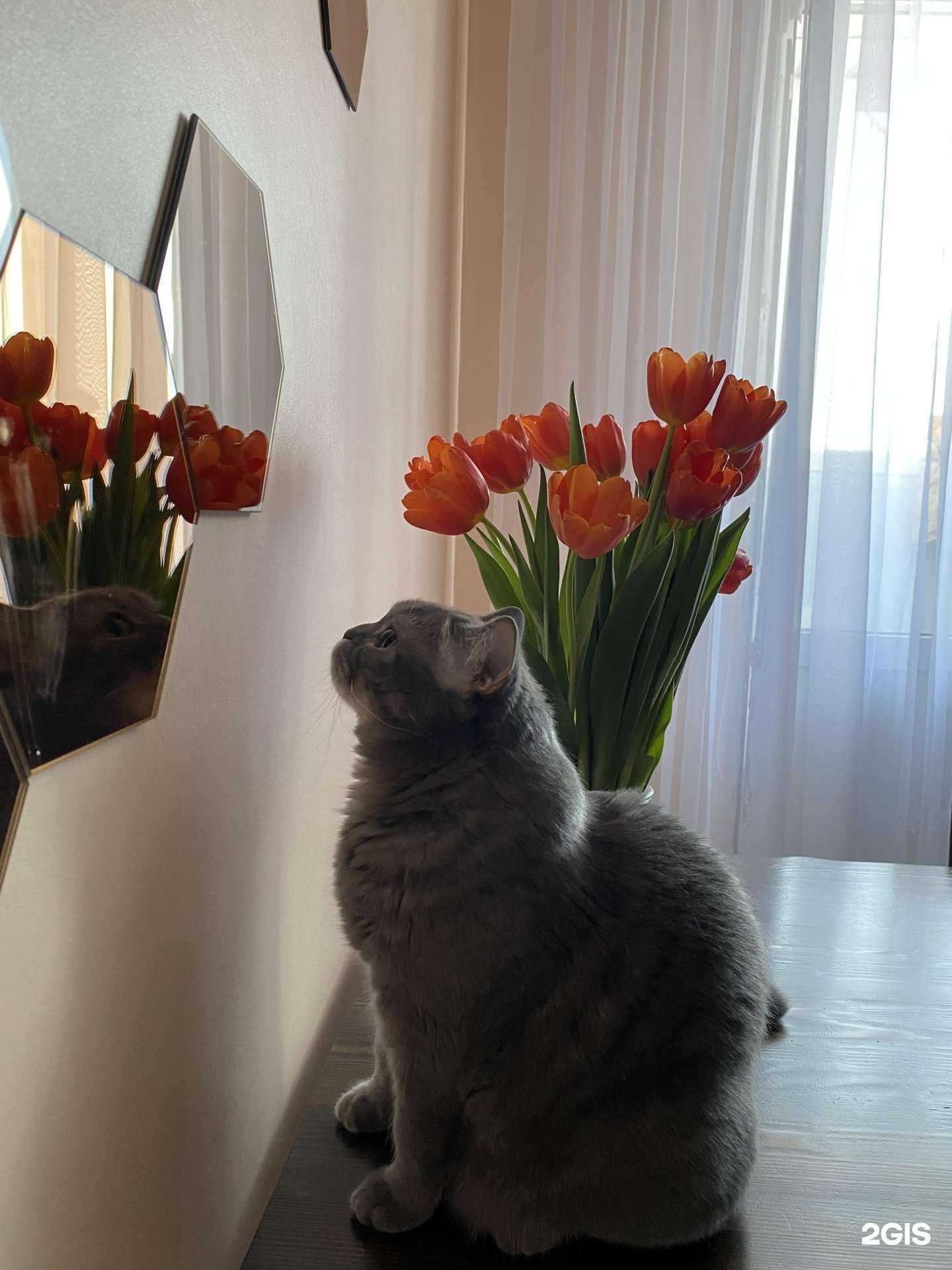 Отзывы на компанию Биовет в г. Оренбург c фото