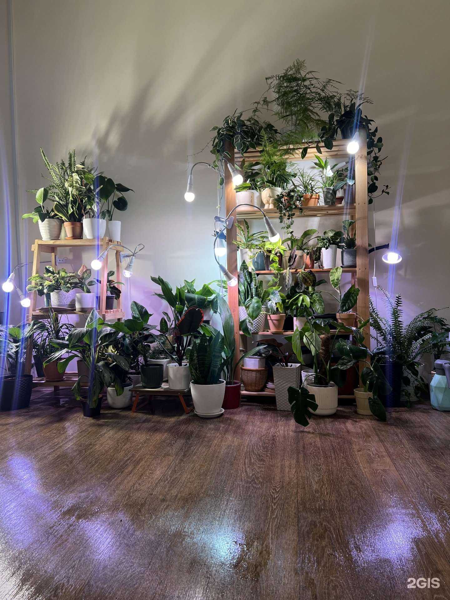 Отзывы на компанию Flovers в г. Новокузнецк c фото