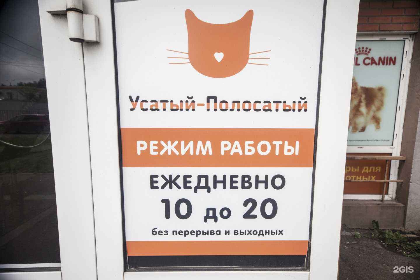 Отзывы на компанию Усатый-полосатый в Туле c фото