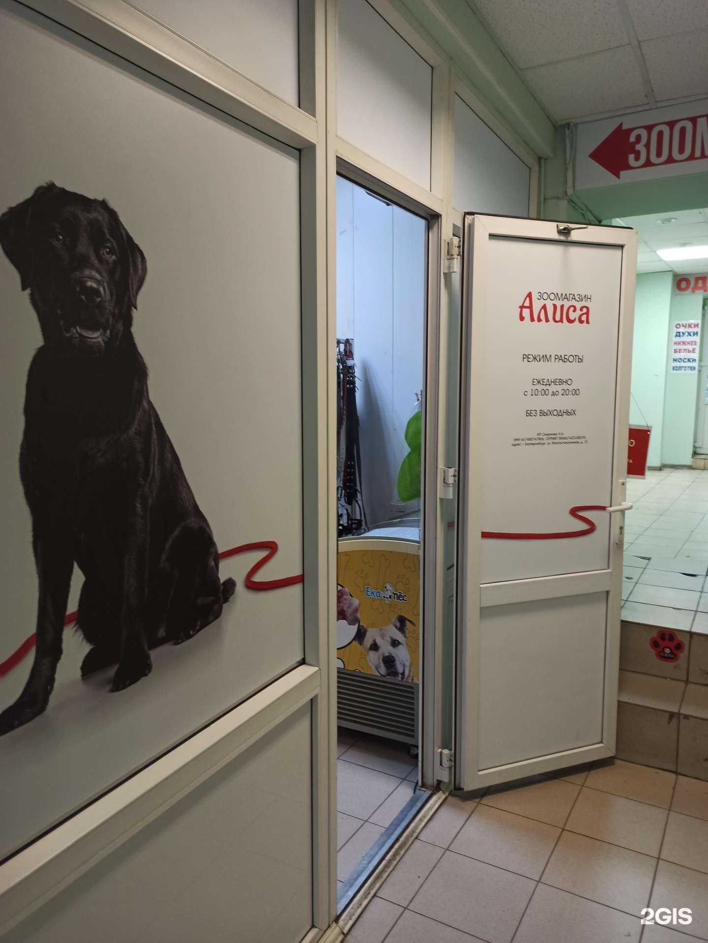 Отзывы на компанию Алиса в г. Екатеринбург c фото