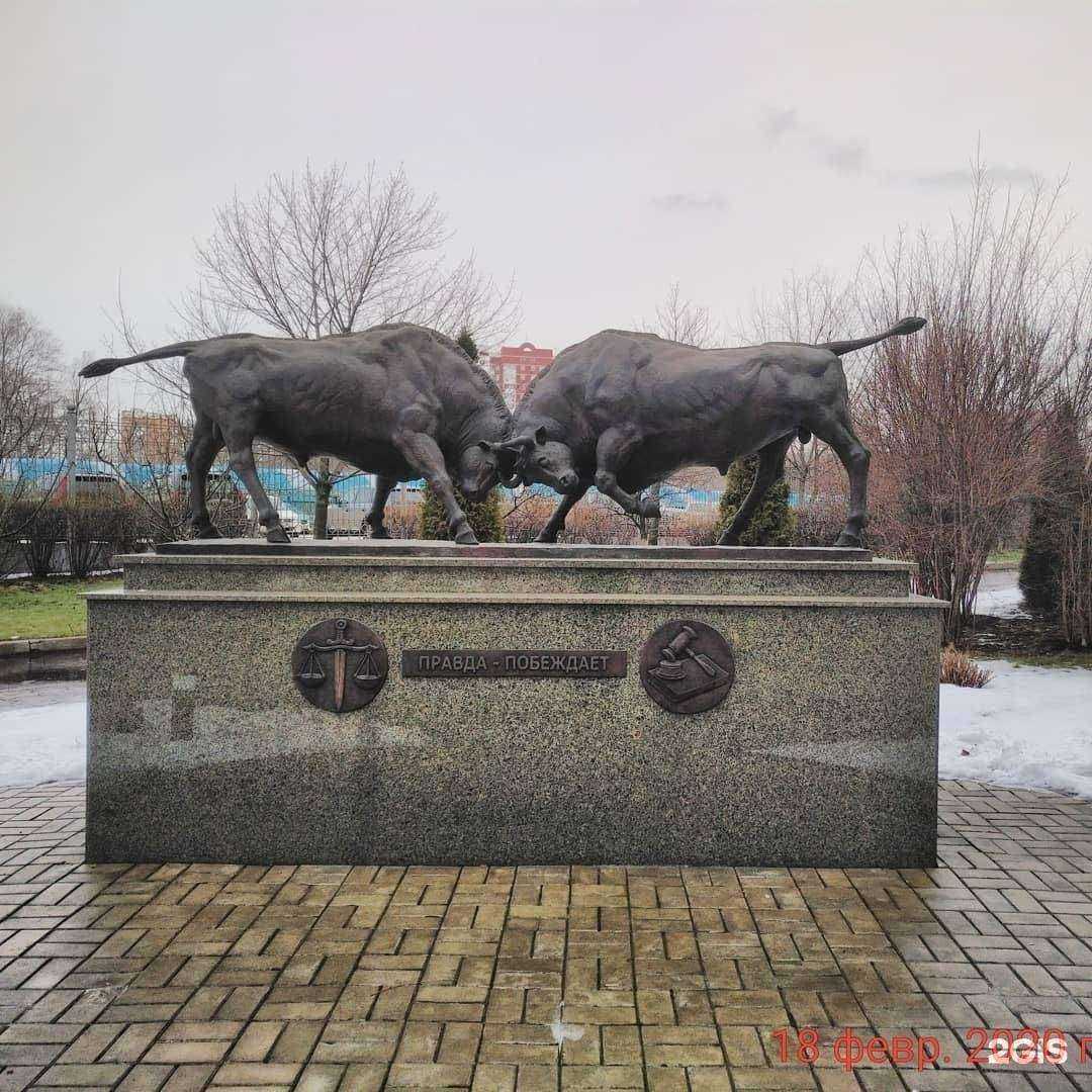 Отзывы на компанию Андрей Шульга и Партнеры в Курске c фото