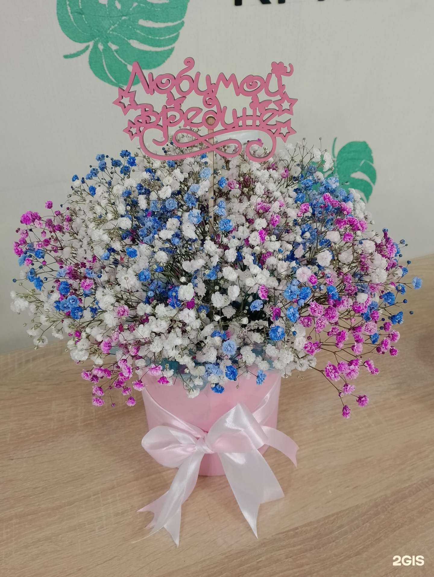 Отзывы на компанию Цветы&Семена в Прокопьевске c фото