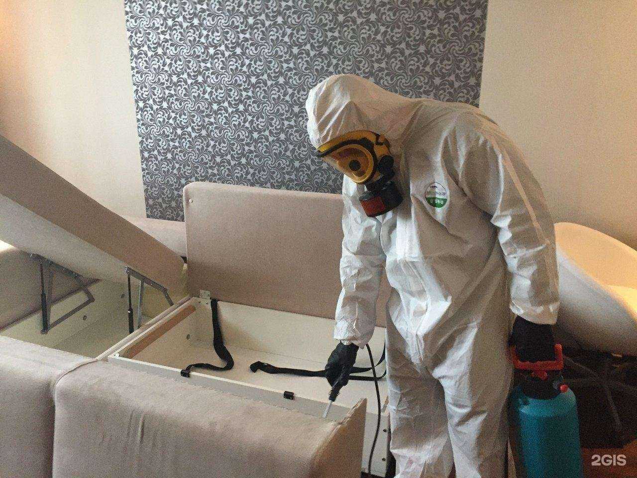 Отзывы на компанию Дез Эксперт+ в Челябинске c фото