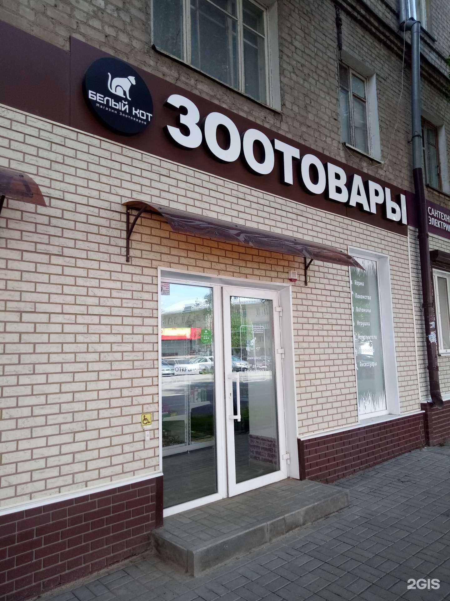 Отзывы на компанию Белый кот в Воронеже c фото