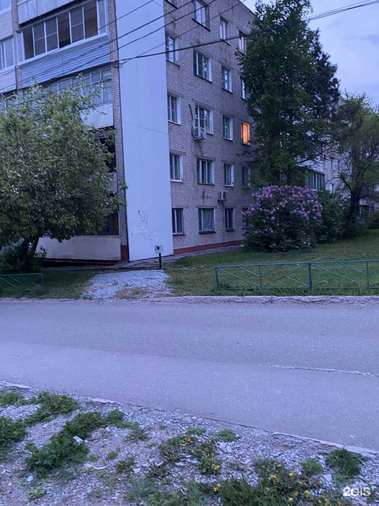 Отзывы на компанию Azeriflores в Хабаровске c фото - фотография 2 из 2