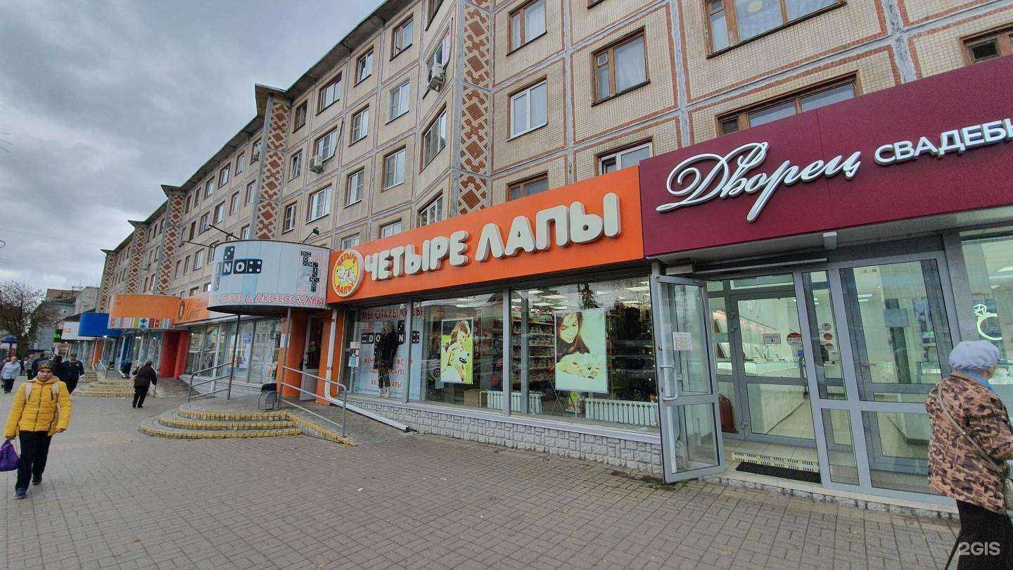 Отзывы на компанию Четыре лапы в г. Калуга c фото