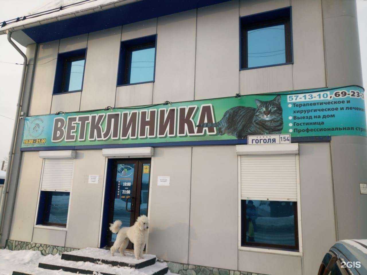 Отзывы на компанию Ветеринарный центр доктора Угрюмова в Барнауле c фото - фотография 2 из 2