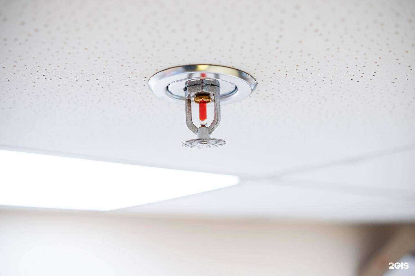 Отзывы на компанию Сибспецальянс в Новосибирске c фото