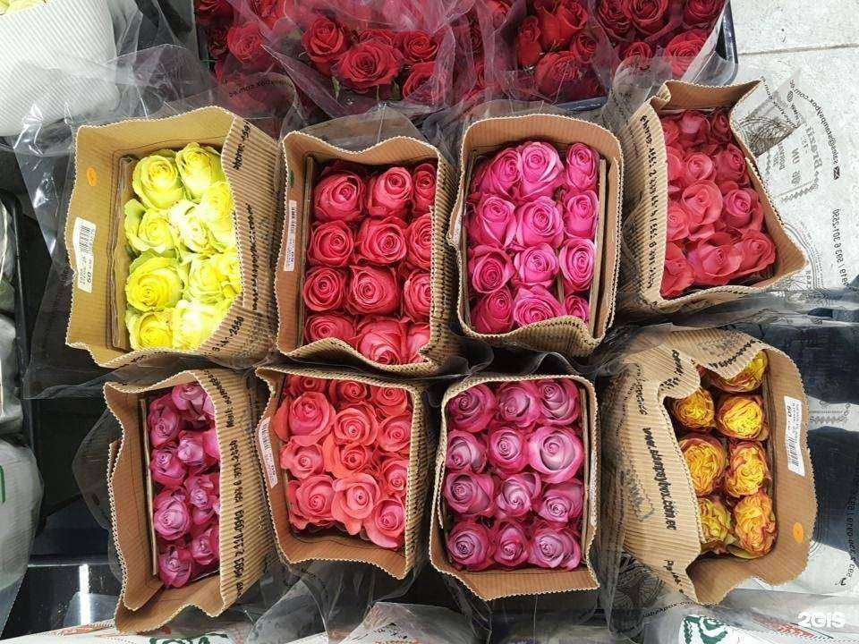 Отзывы на компанию Оконная Лига в Казани c фото - фотография 2 из 2