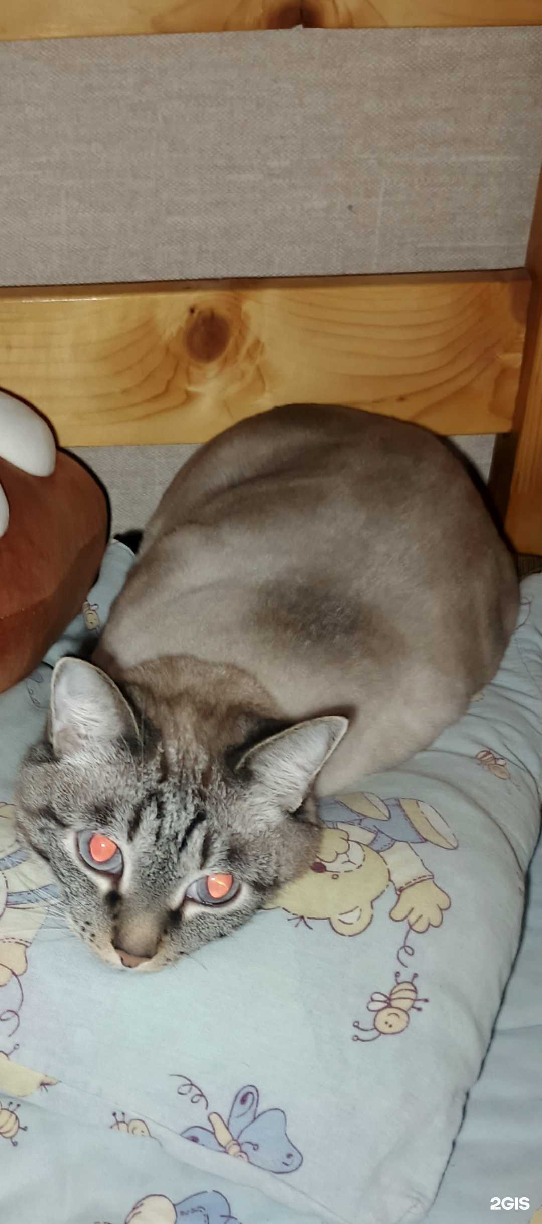 Отзывы на компанию Кюннея в г. Якутск c фото