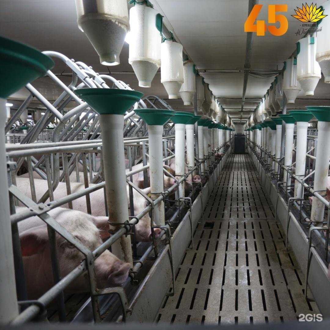 Отзывы на компанию Ишимский в Ялуторовске c фото