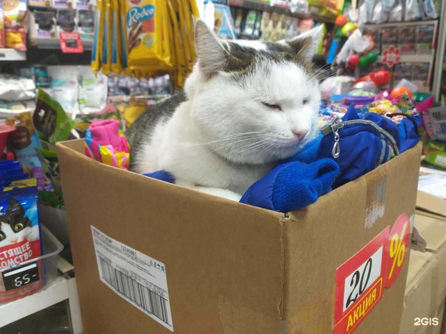 Отзывы на компанию Эдем в г. Новокузнецк c фото