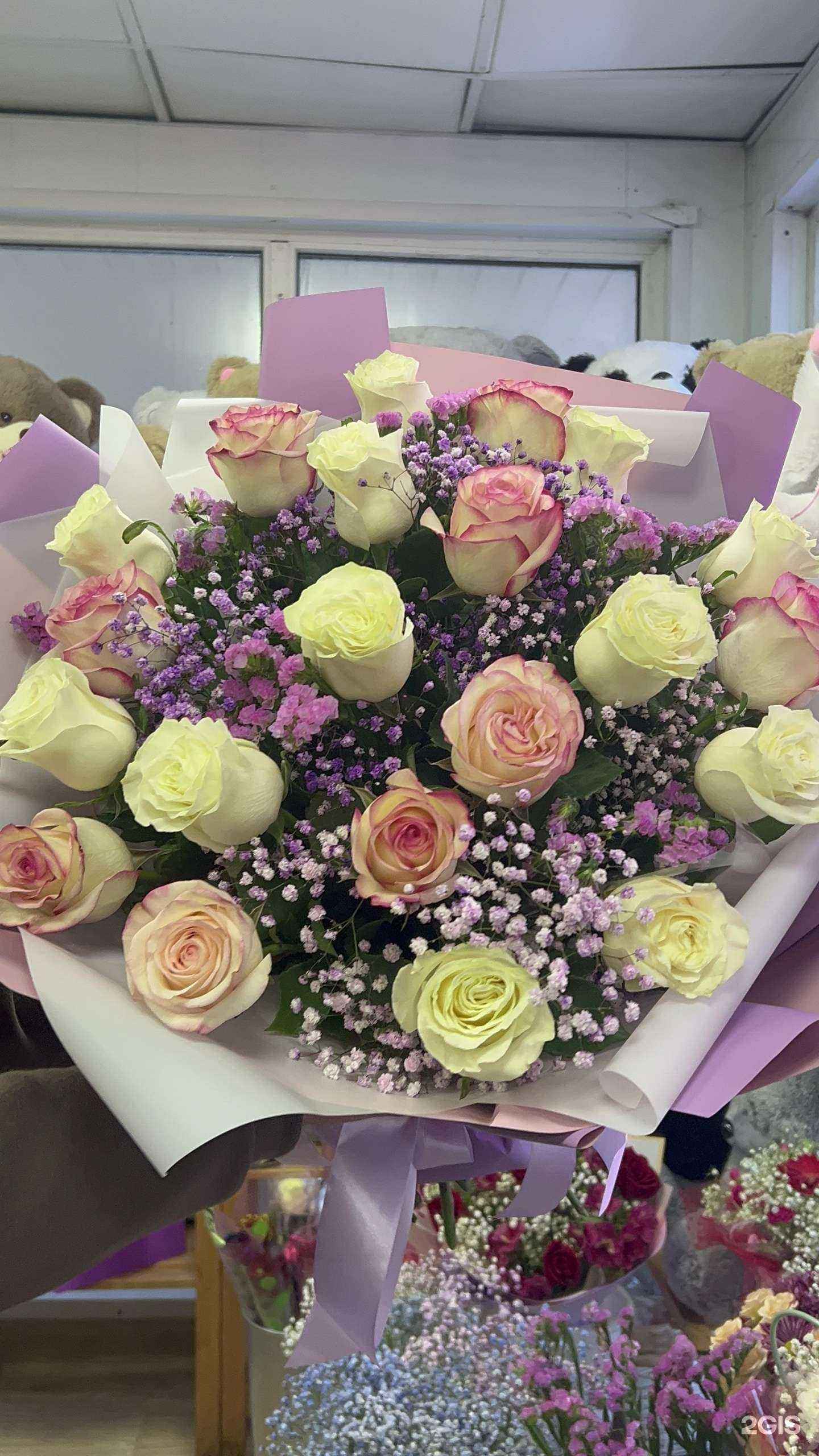 Отзывы на компанию Каталея в Новокузнецке c фото